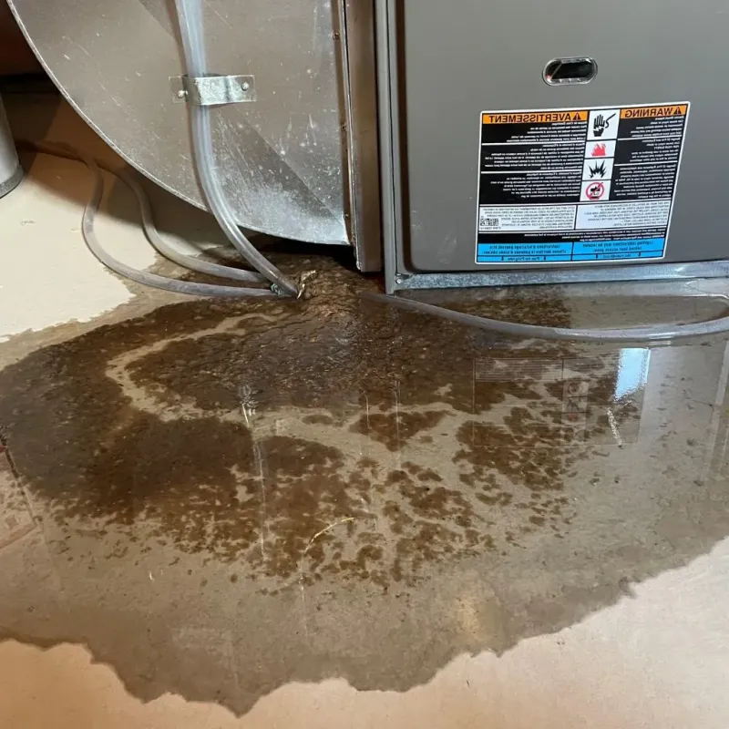 Pipe Burst and Leak Restoration in Valley County, MT